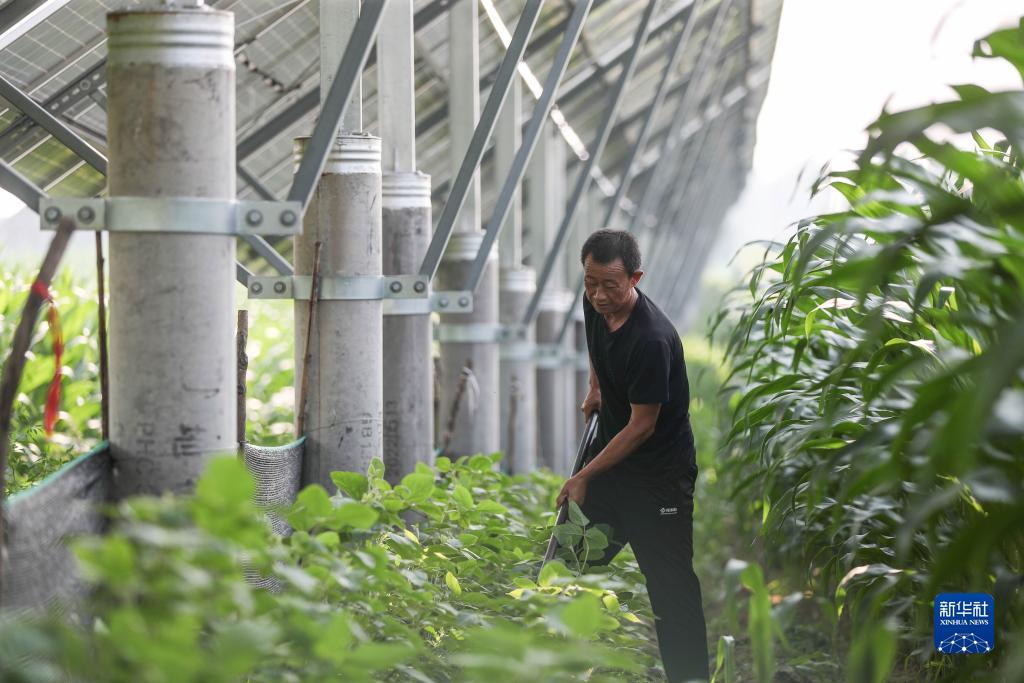 不限ip开户送体验金